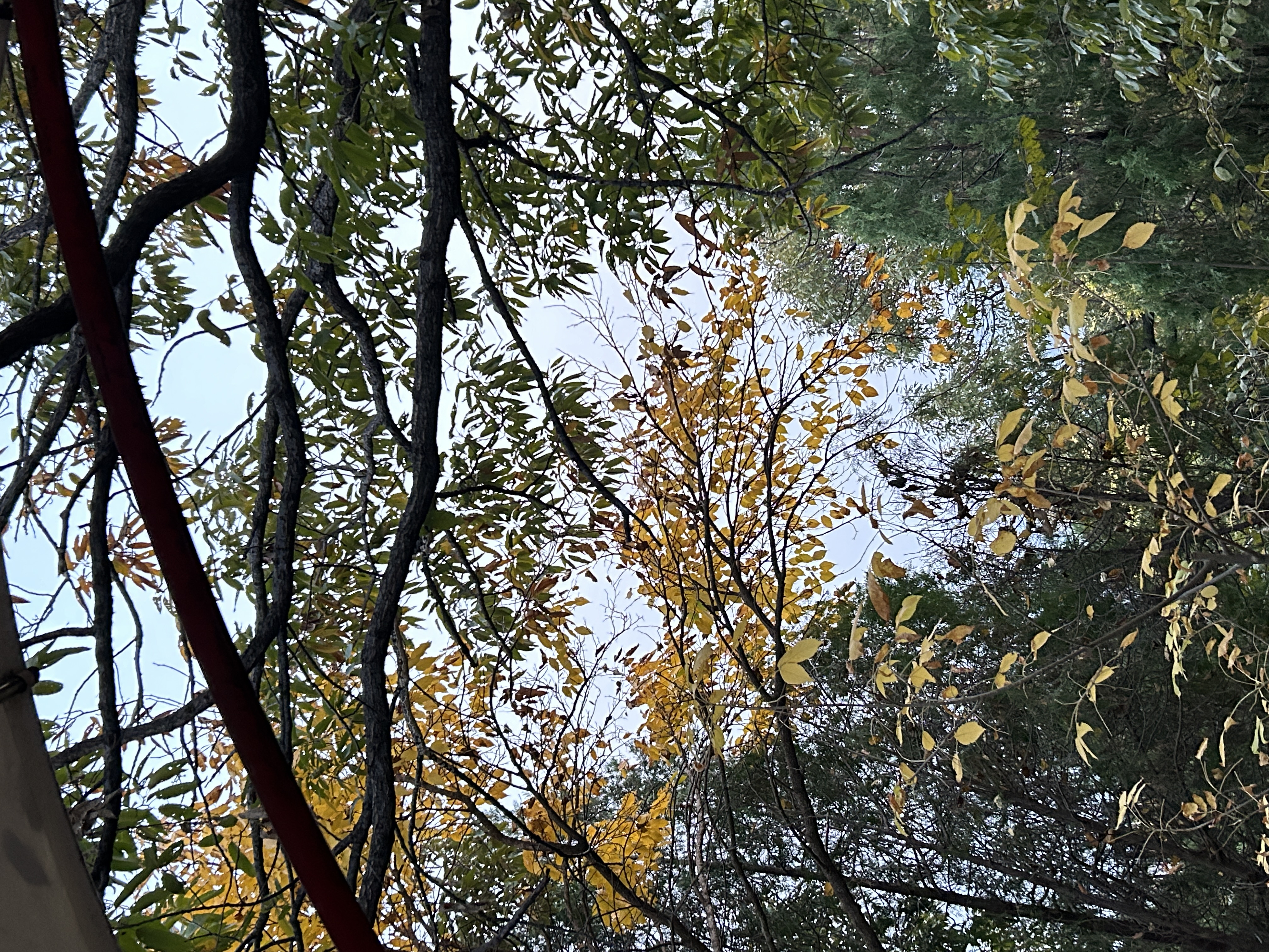 我可以视频剪辑1条