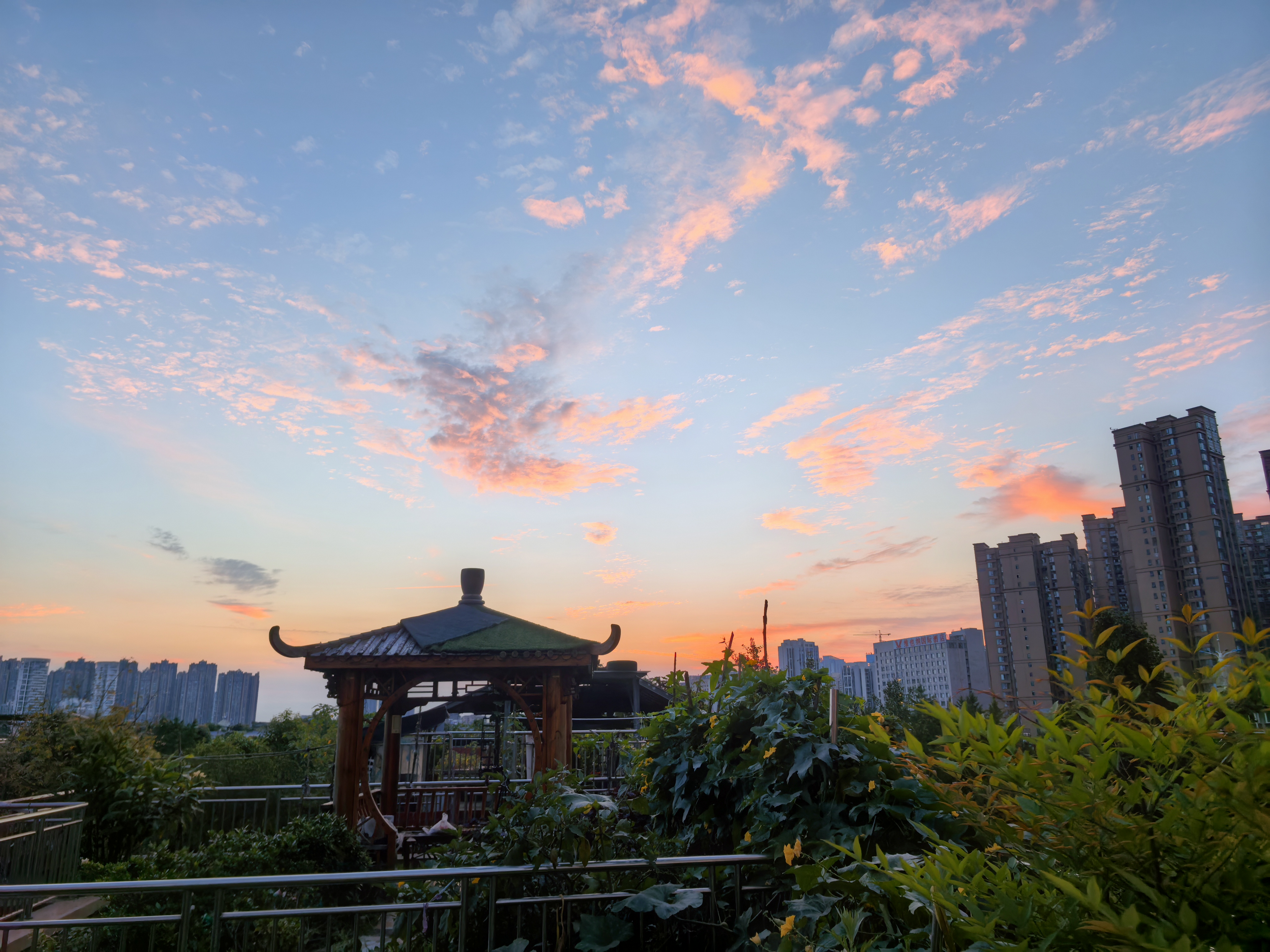 我可以运用开发和测试2种技能，可运用python  c#  java 3种以上语言完成项目开发及测试