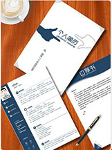 我可以完成简历润色，1天内完成