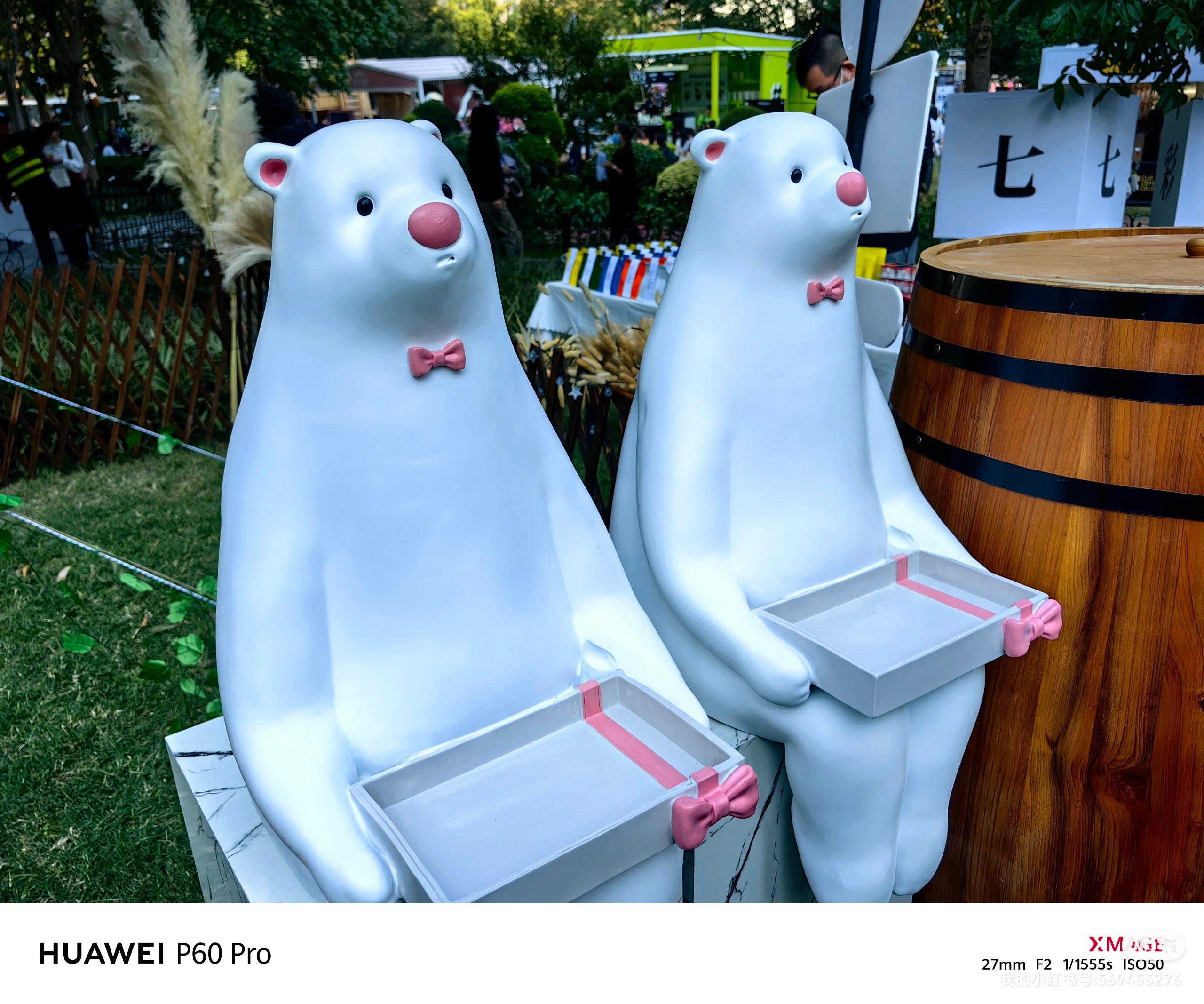 我可以辅导一年级到五年级小学英语