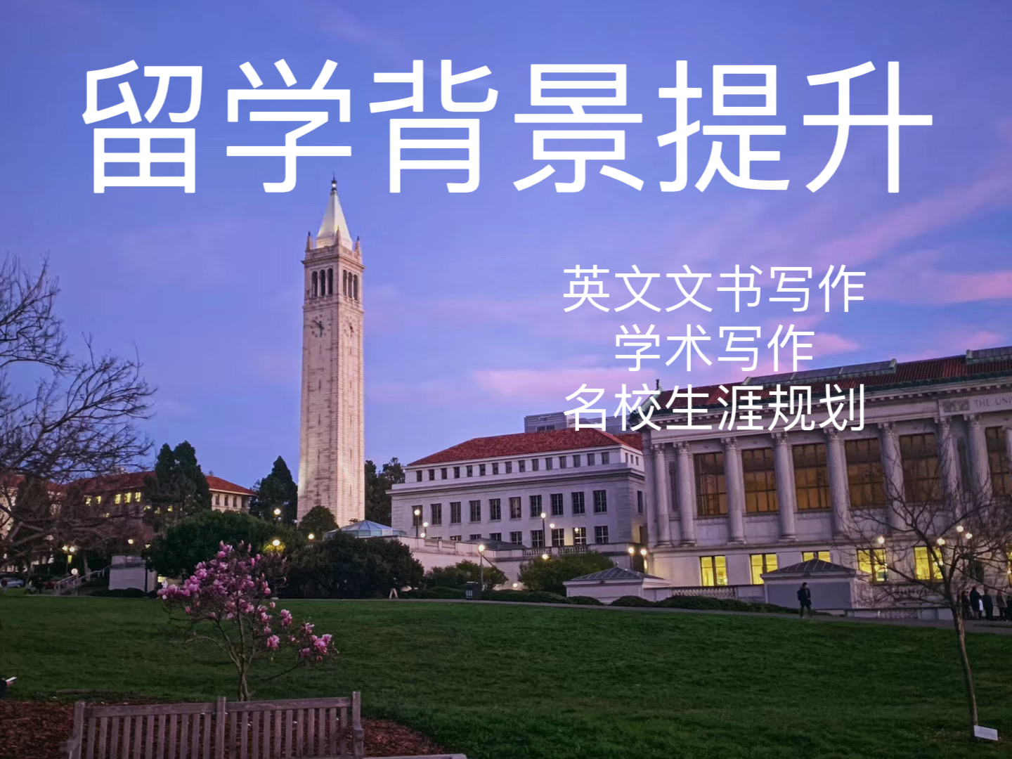 我可以短期美英留学背景提升、200-1000字英语文书写作辅导、海外名校 tutoring