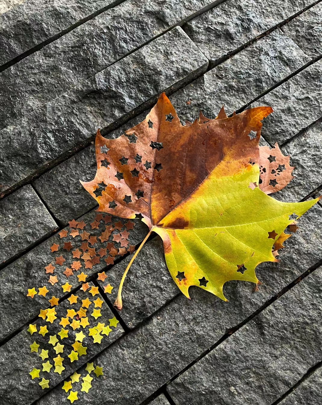 我可以一天在boss直聘APP上线聊15人，打招呼100个