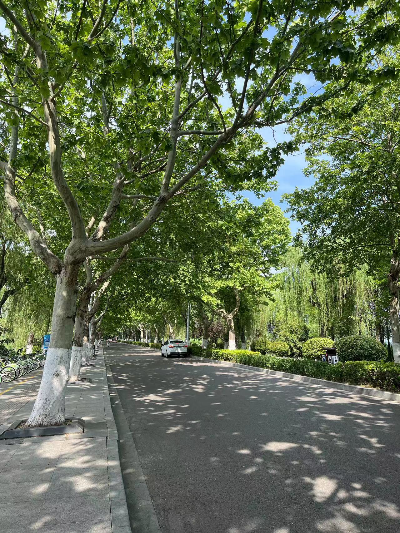 我可以陪伴聊天倾听1小时