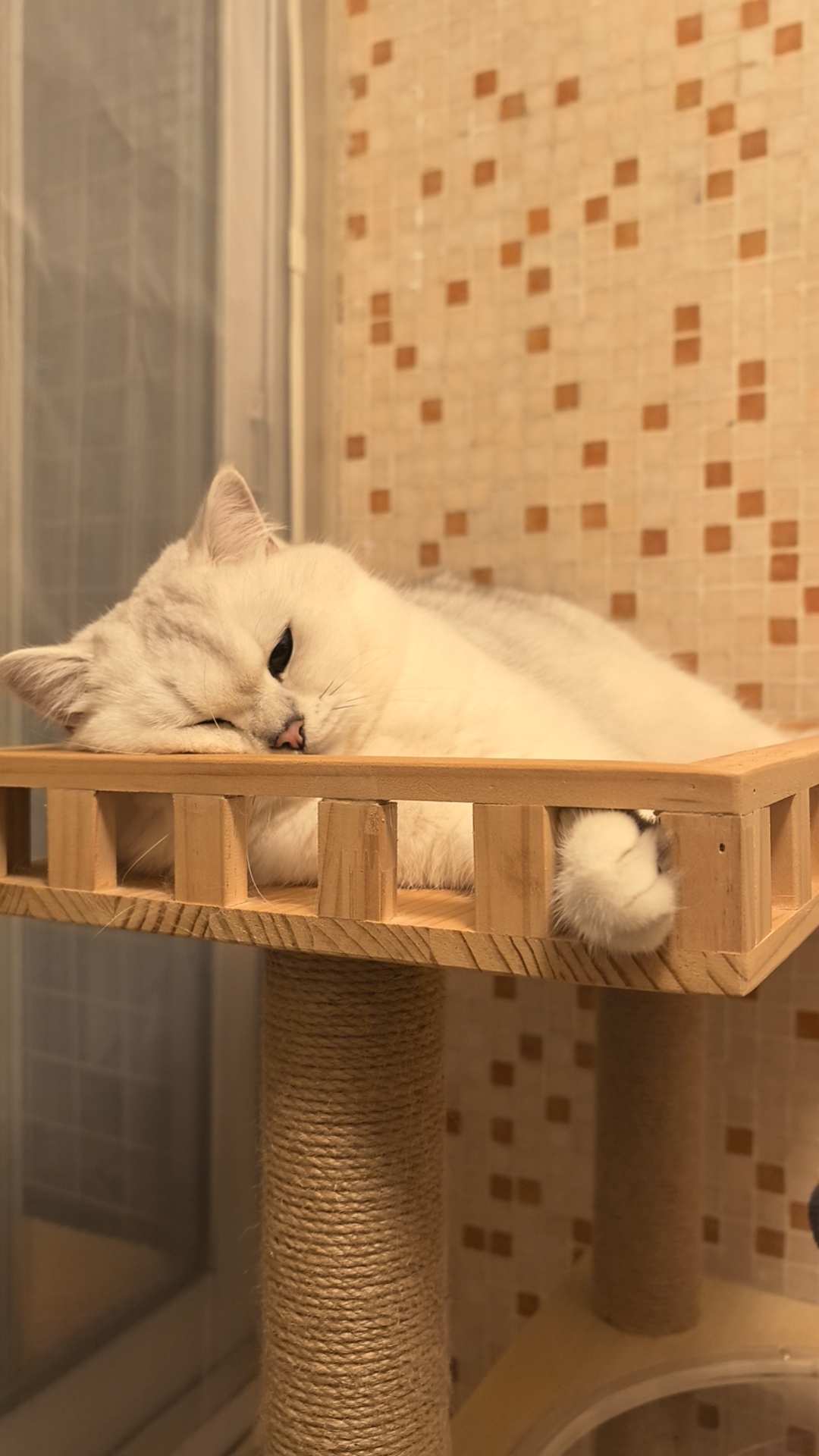 我可以做UI，交互设计（H5设计、网站/APP设计、交互原型）