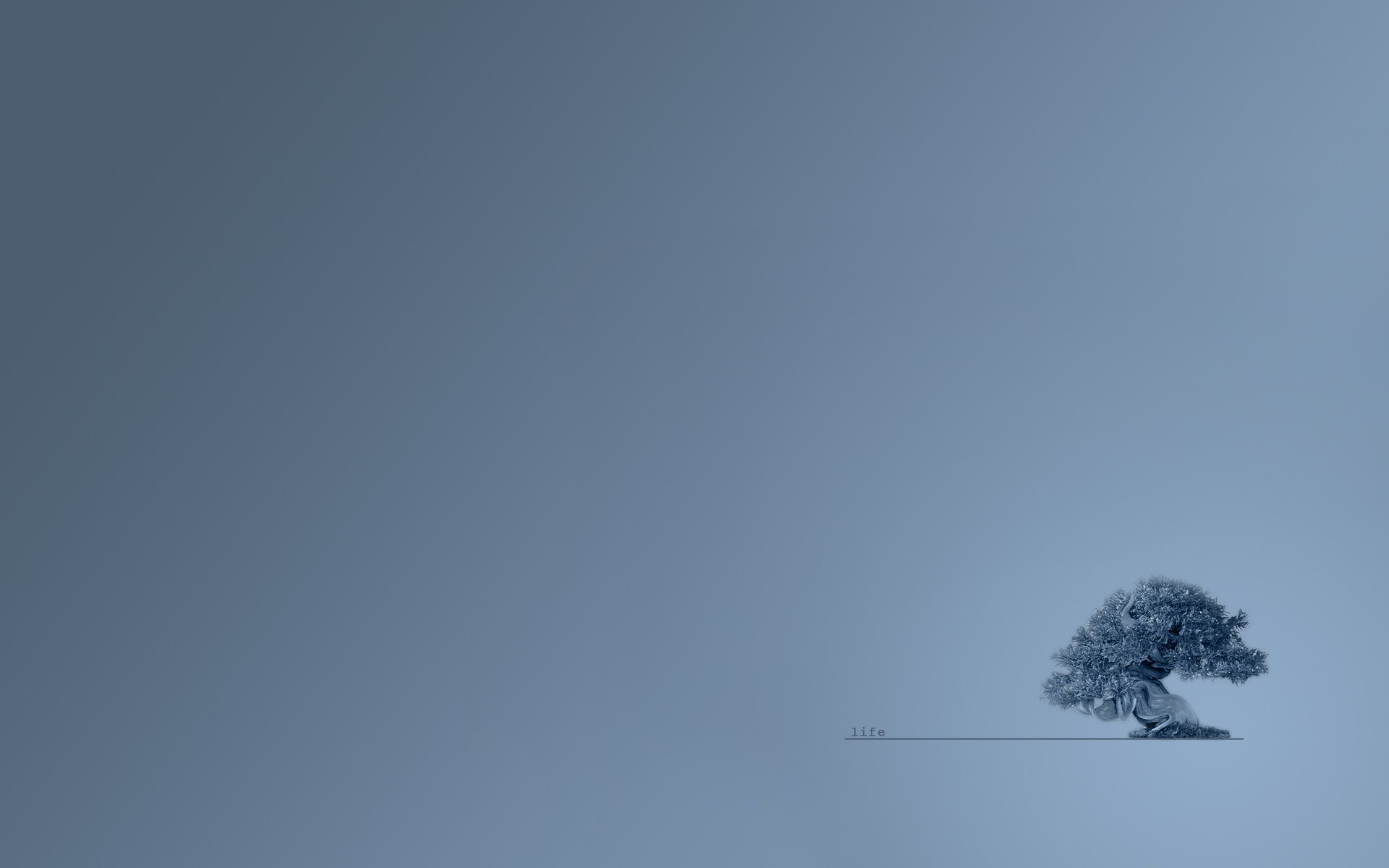 我可以做一切IT相关的事项