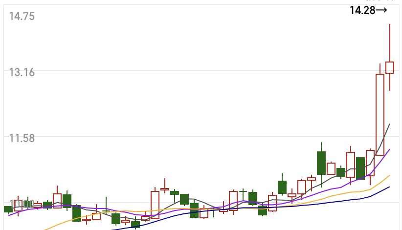 我可以教新手7天股市新手培训基础知识，让新手也能掌控全局