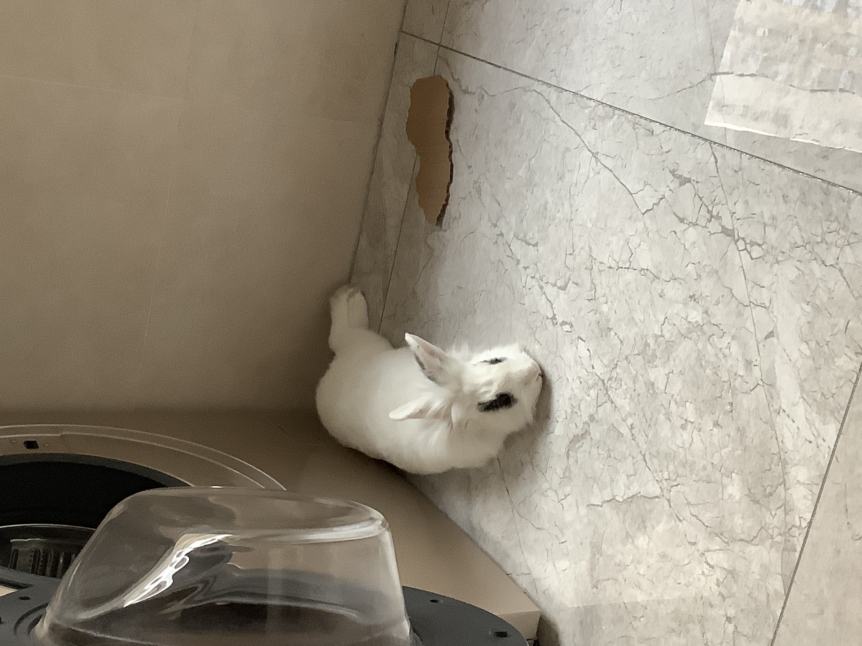 我可以搭建一个完整的数据仓库