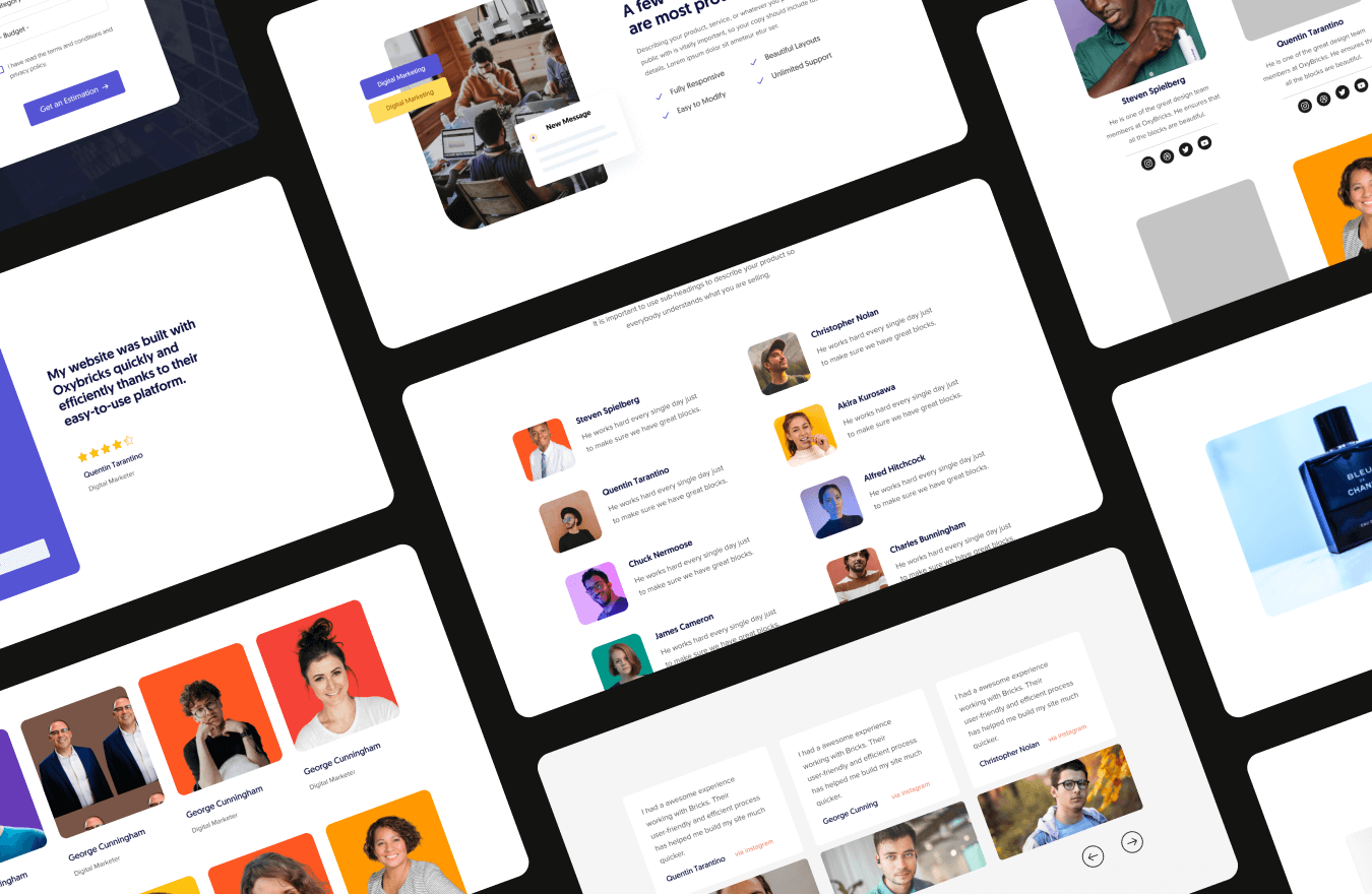 我可以安装1个WordPress主题Bricks，Flatsome，Enfold等