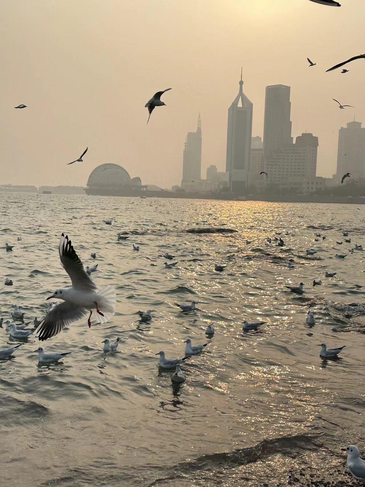 我可以倾听1小时