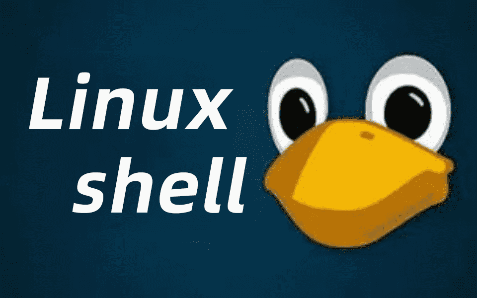 我可以编写1个shell或python脚本