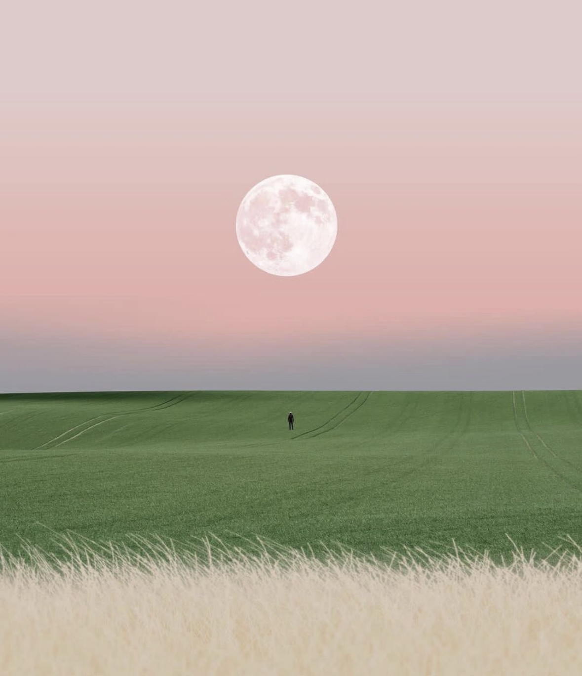 我可以心理辅导1小时