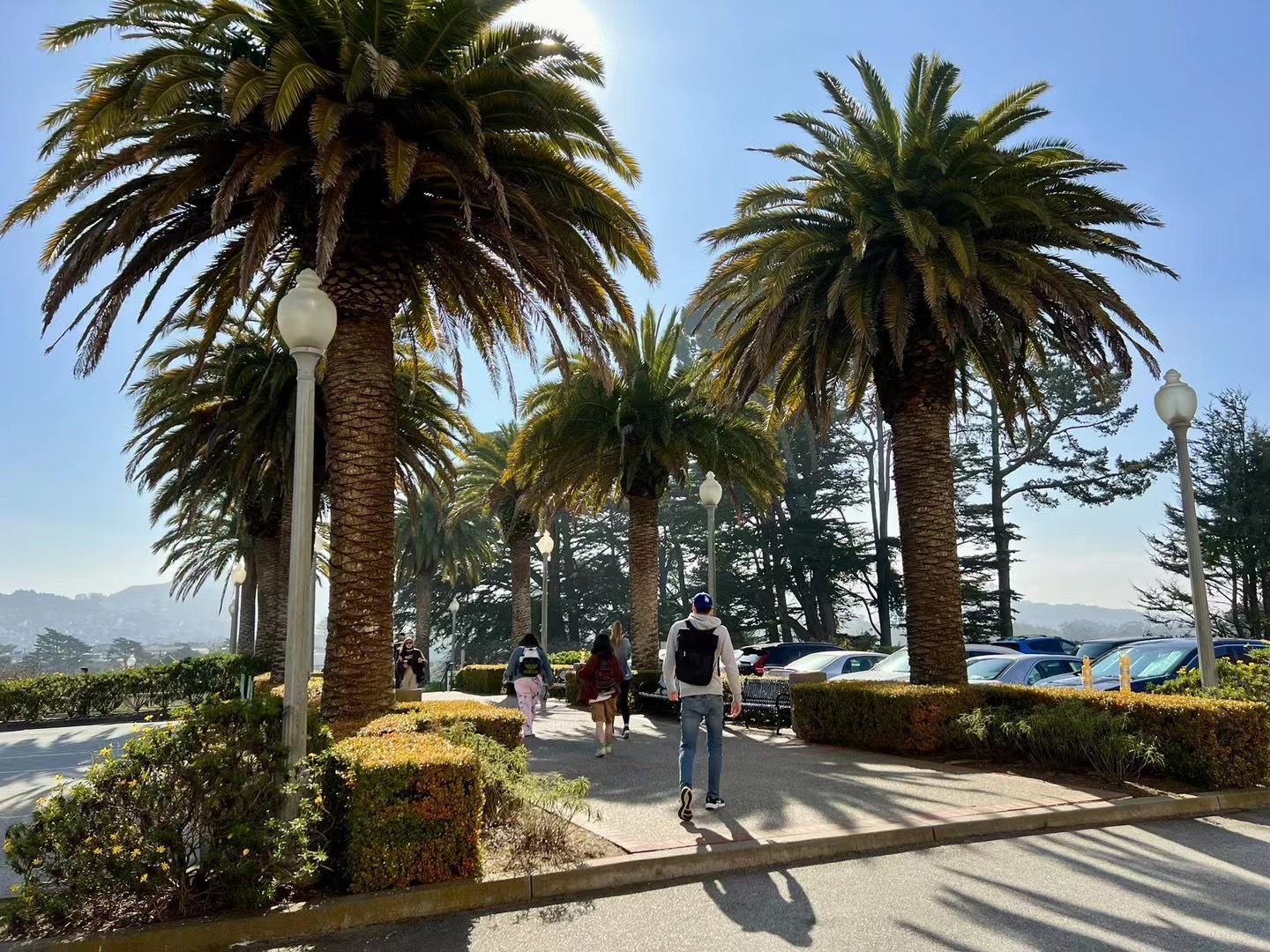 我可以全球20个国家留学咨询三天之内出30页以上的择校方案