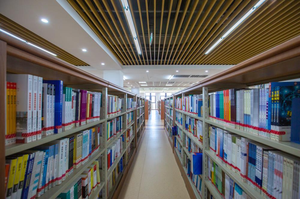 我可以写各种报告、文案、文章，一万字文章两天内完成