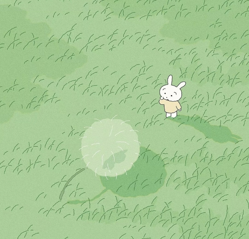 我可以设计 500字写作 p图