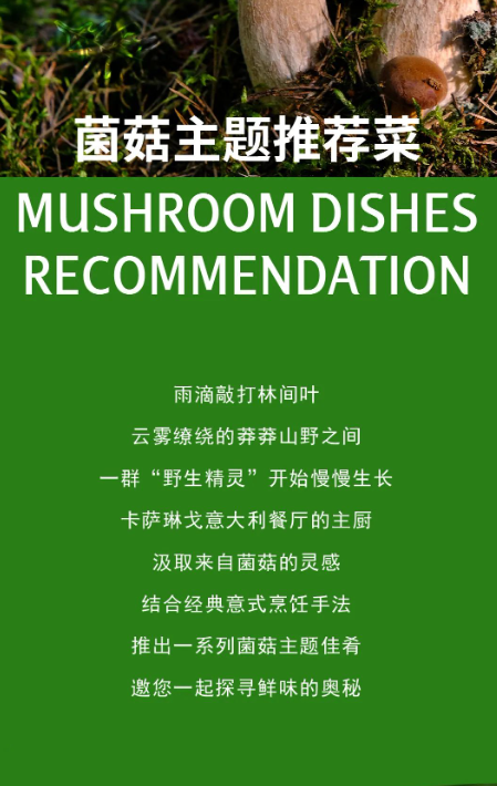 我可以200字的微信推文