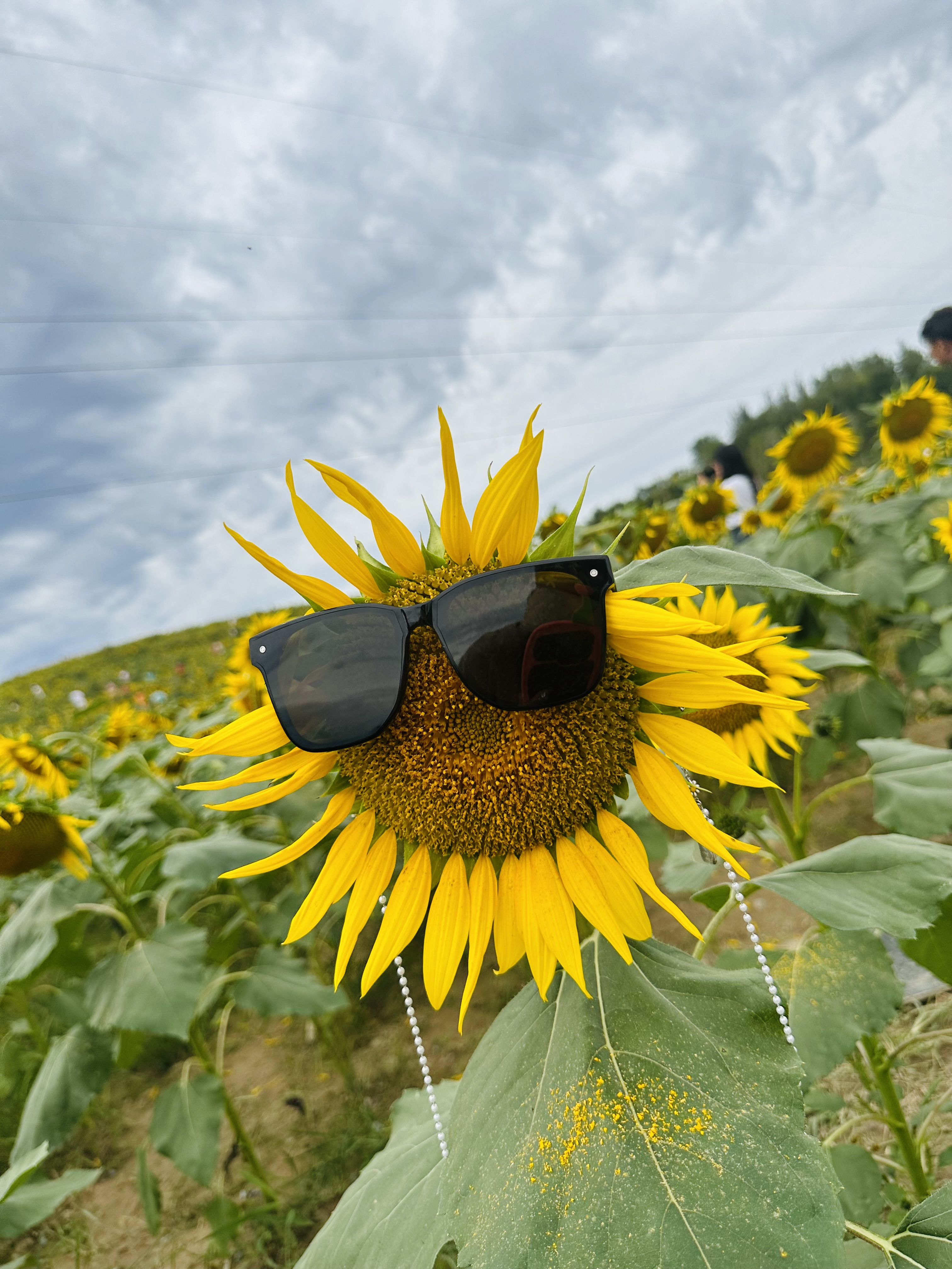 我可以完成一个baneer