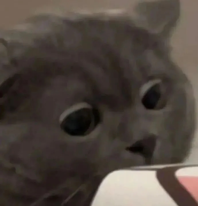 我可以）短视频剪辑-他非要量词111