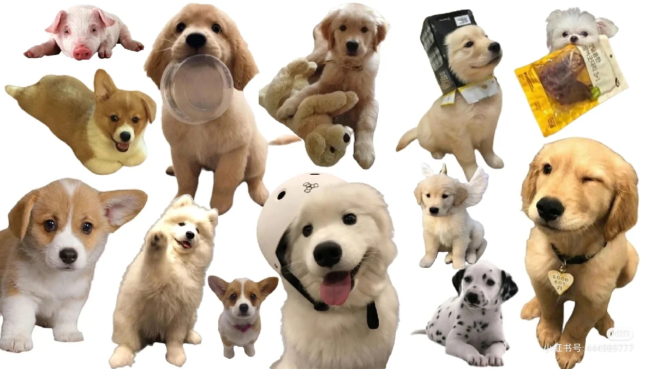 我可以一分钟视频剪辑   P图      200字文案编辑   文案编辑