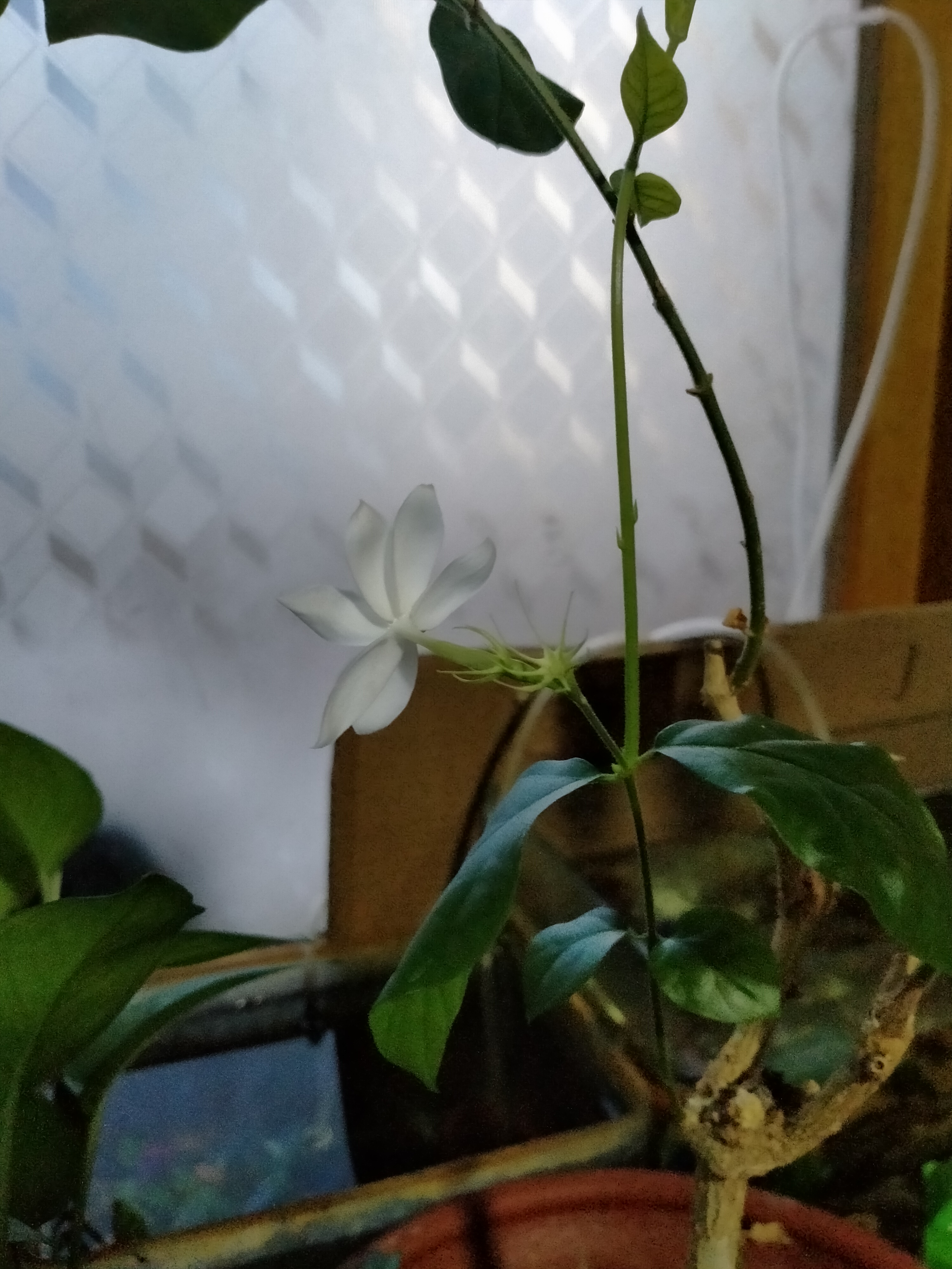 我可以做一家财务做账，报税，财务咨询