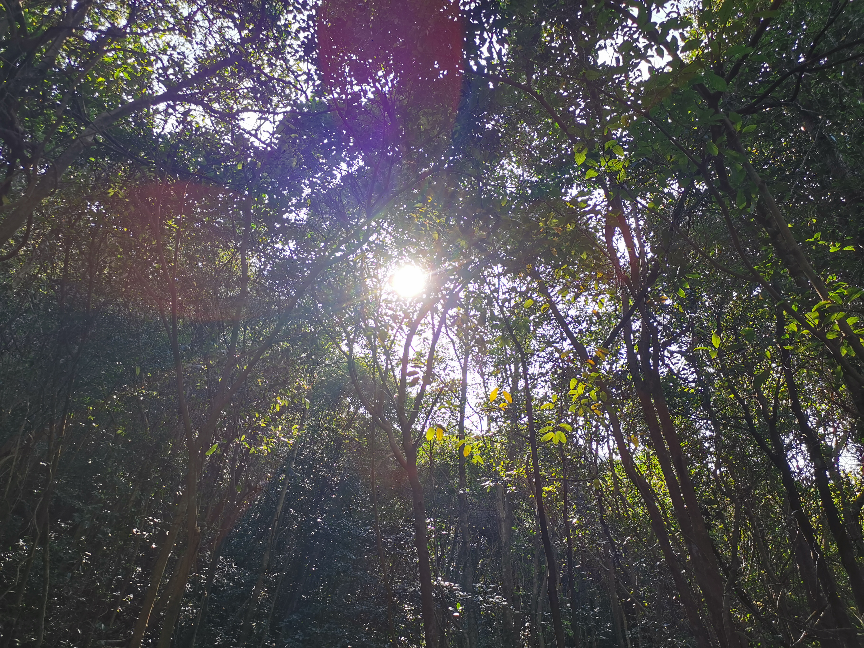我可以成为一个倾听者，让你无处可去的情绪得以安放。