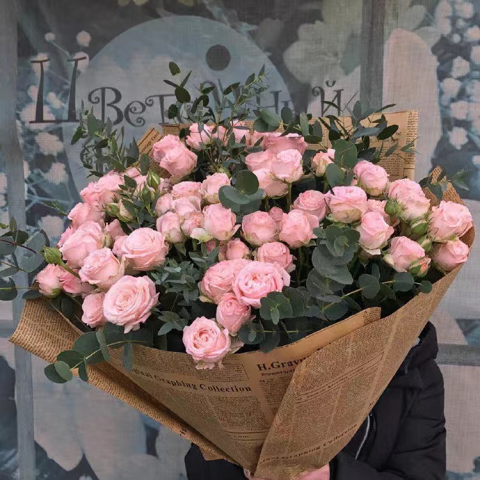 我可以每天辅导考研法律两个小时