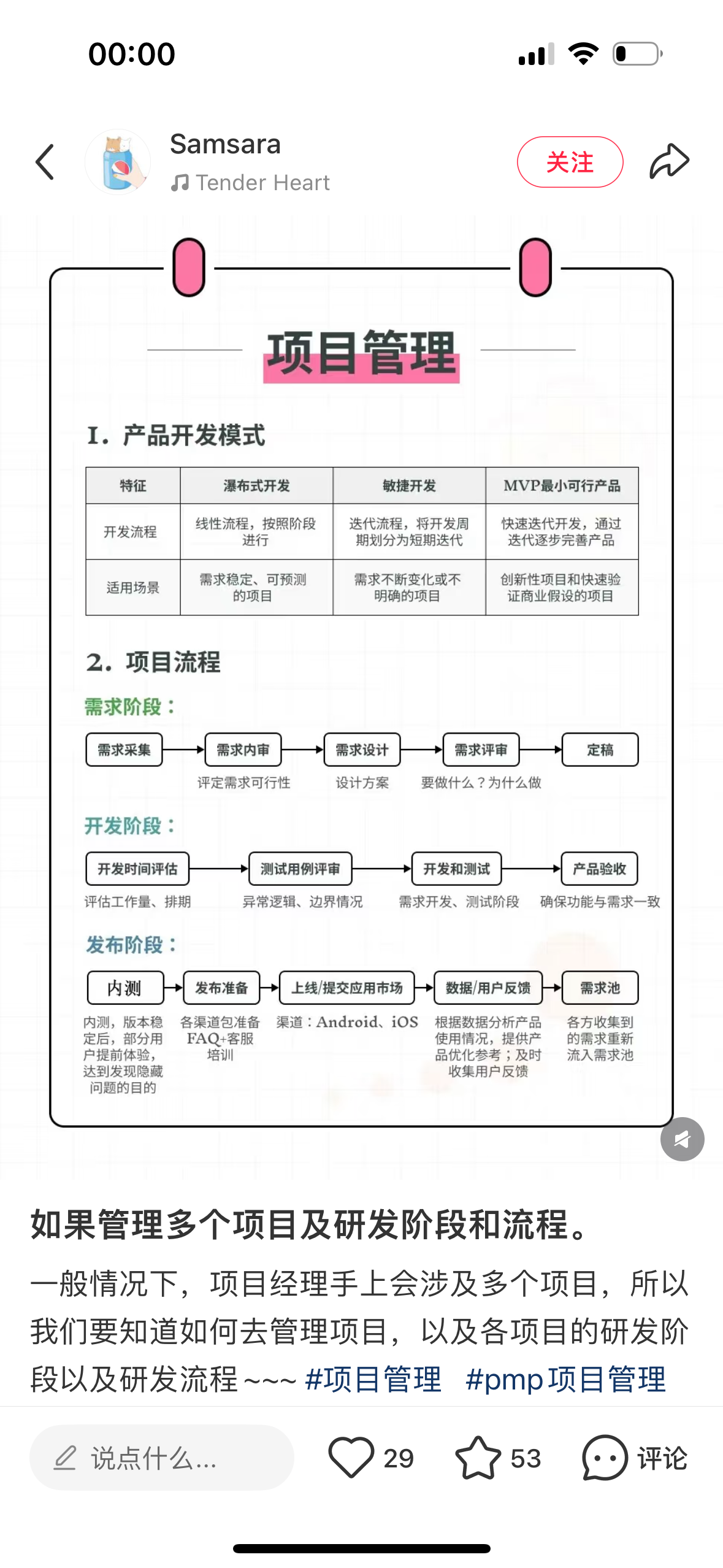 我可以很好的管理一个项目