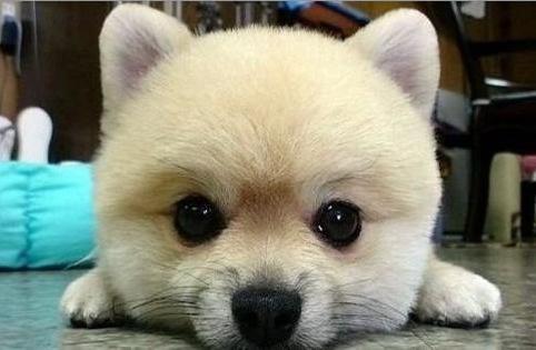 我可以维护服务器，数据仓库及开发，需要周期2周到2个月不等