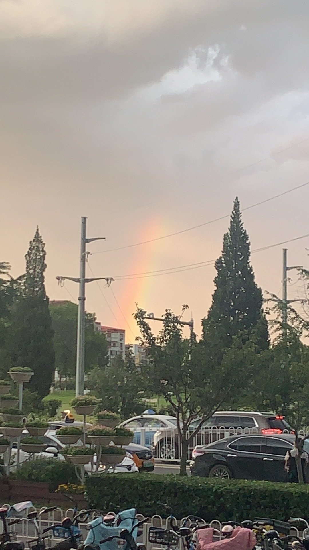 我可以意大利语文案翻译，1-2天内完成