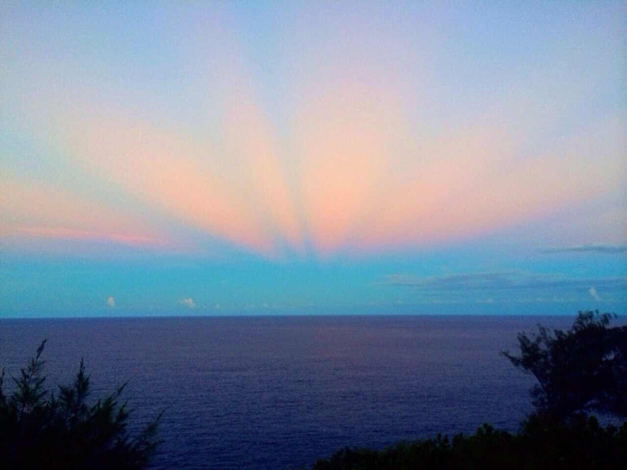 我可以為客戶寫作，其中包含論文，可以代筆創作3000字左右的散文。