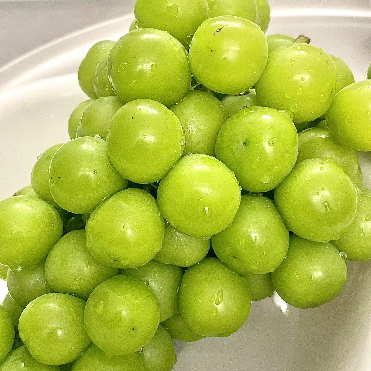 我可以终端管理，为终端一线选拔培养30余人销售。制订相关员工关怀与激励政策，确保团队稳定性。