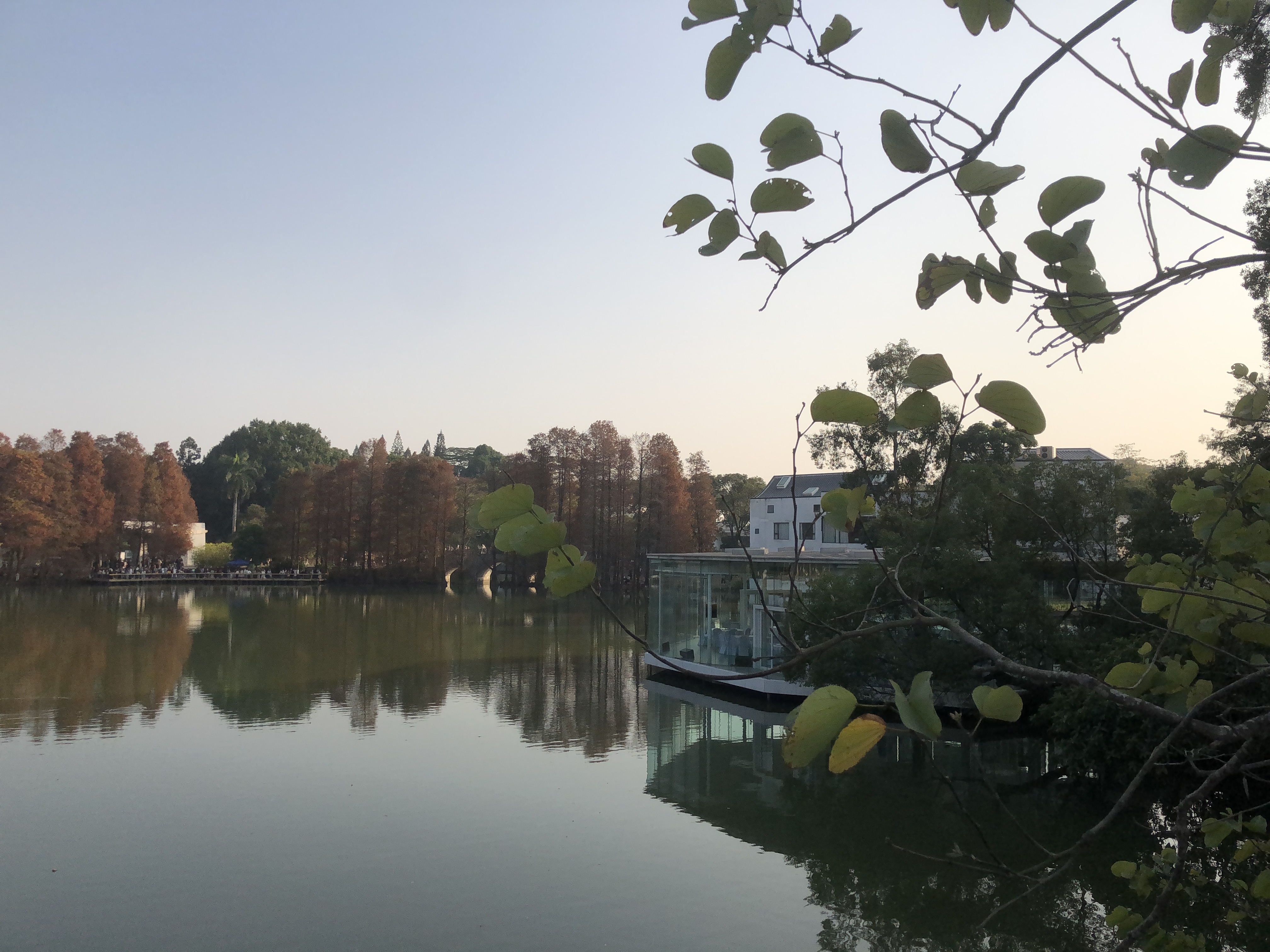 我可以短时间高效获取海外客户。1分钟200个客户