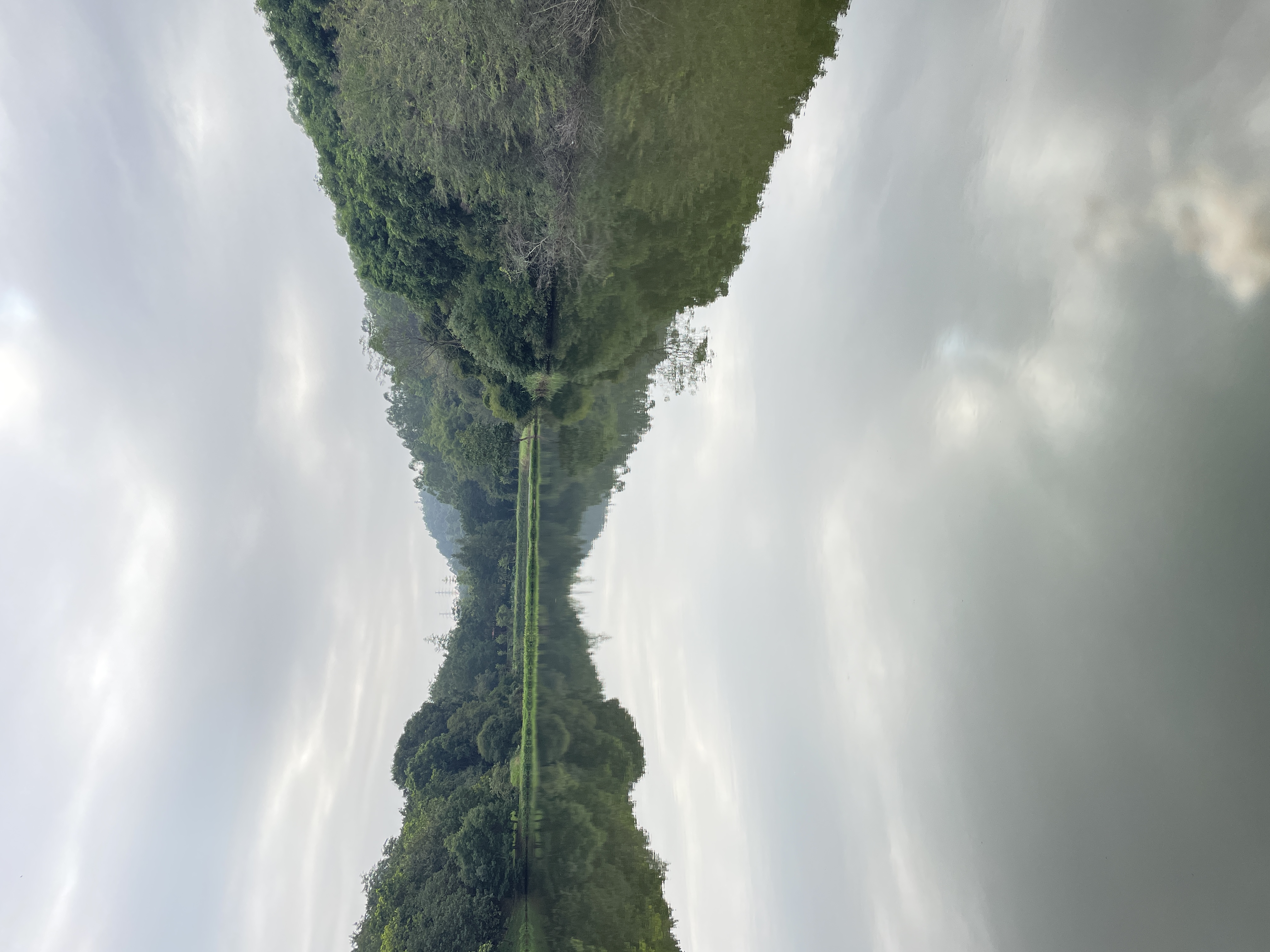 我可以天猫运营推广，标题优化，20个产品上架