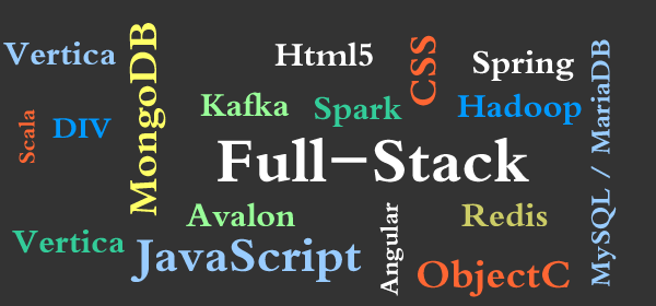 我可以做一天全栈开发，java spring，go gin， vue，react