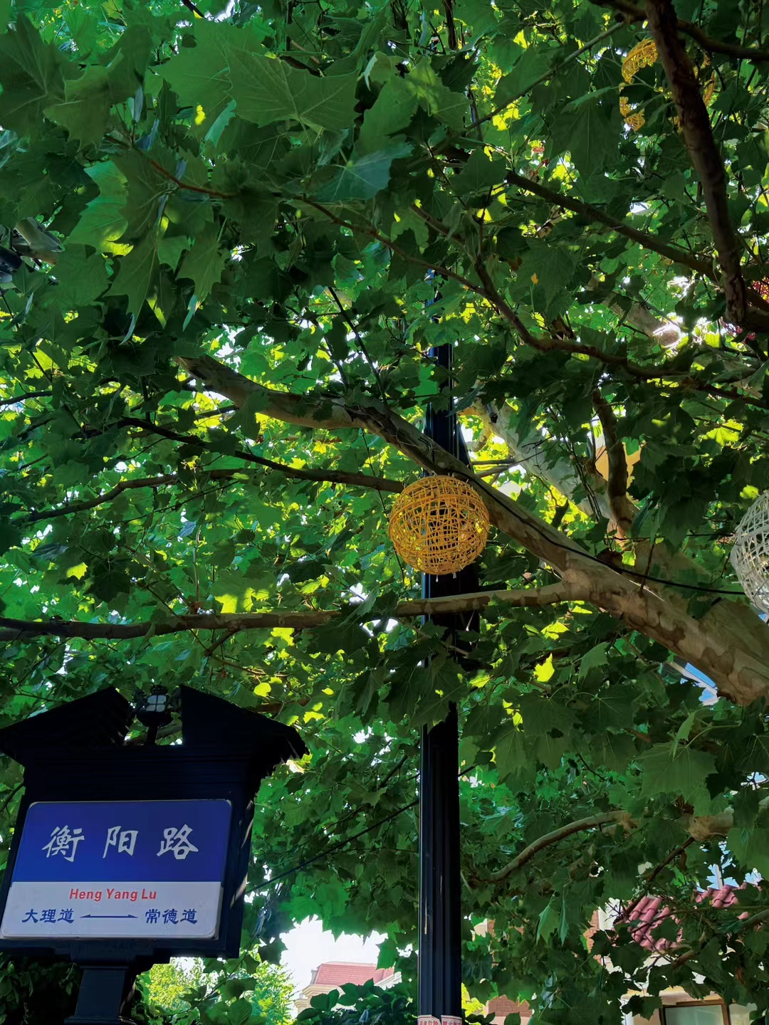 我可以每年组织策划5场线下企业健康类及家庭日活动