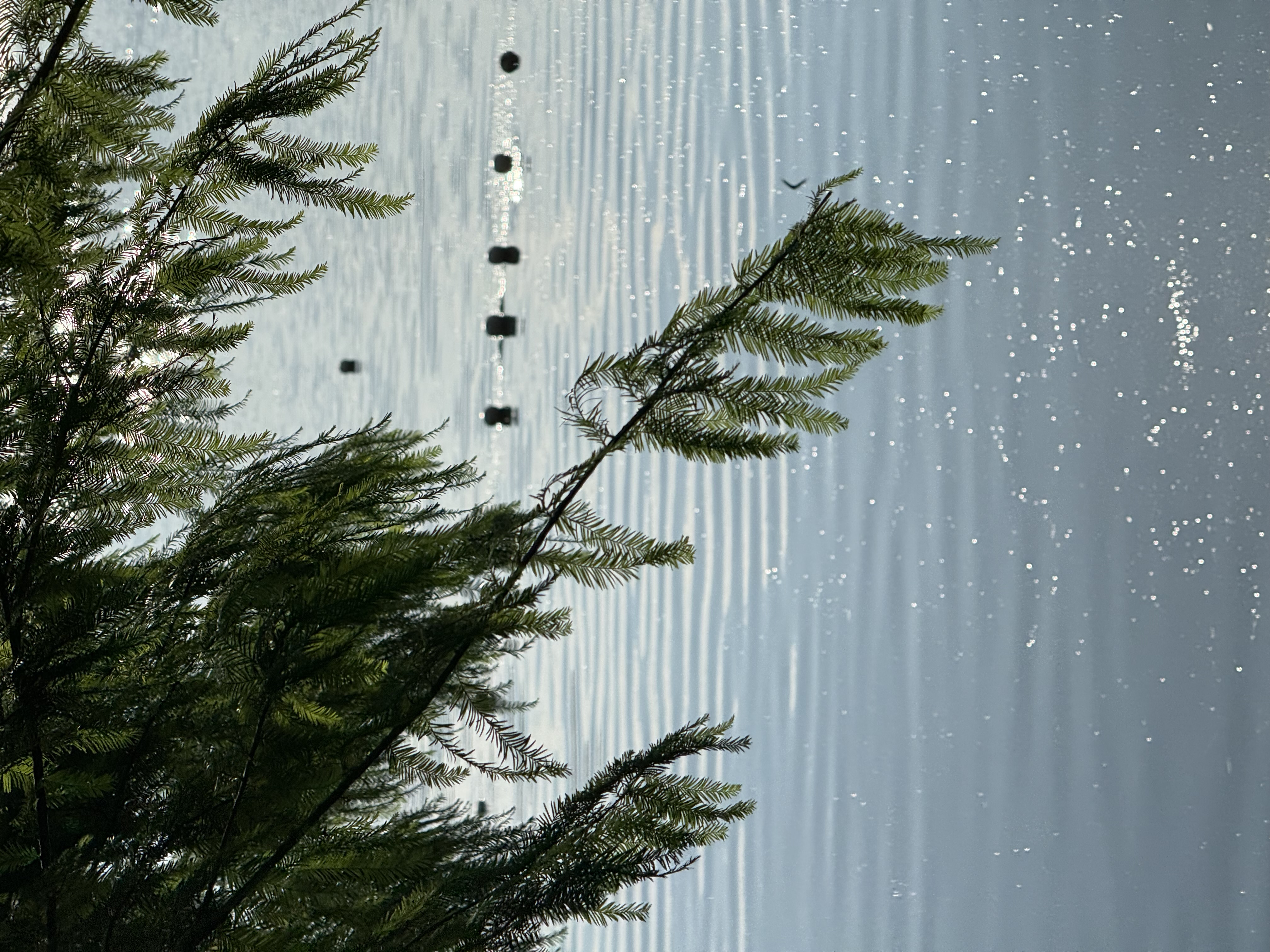 我可以平面设计电商设计写500字文案