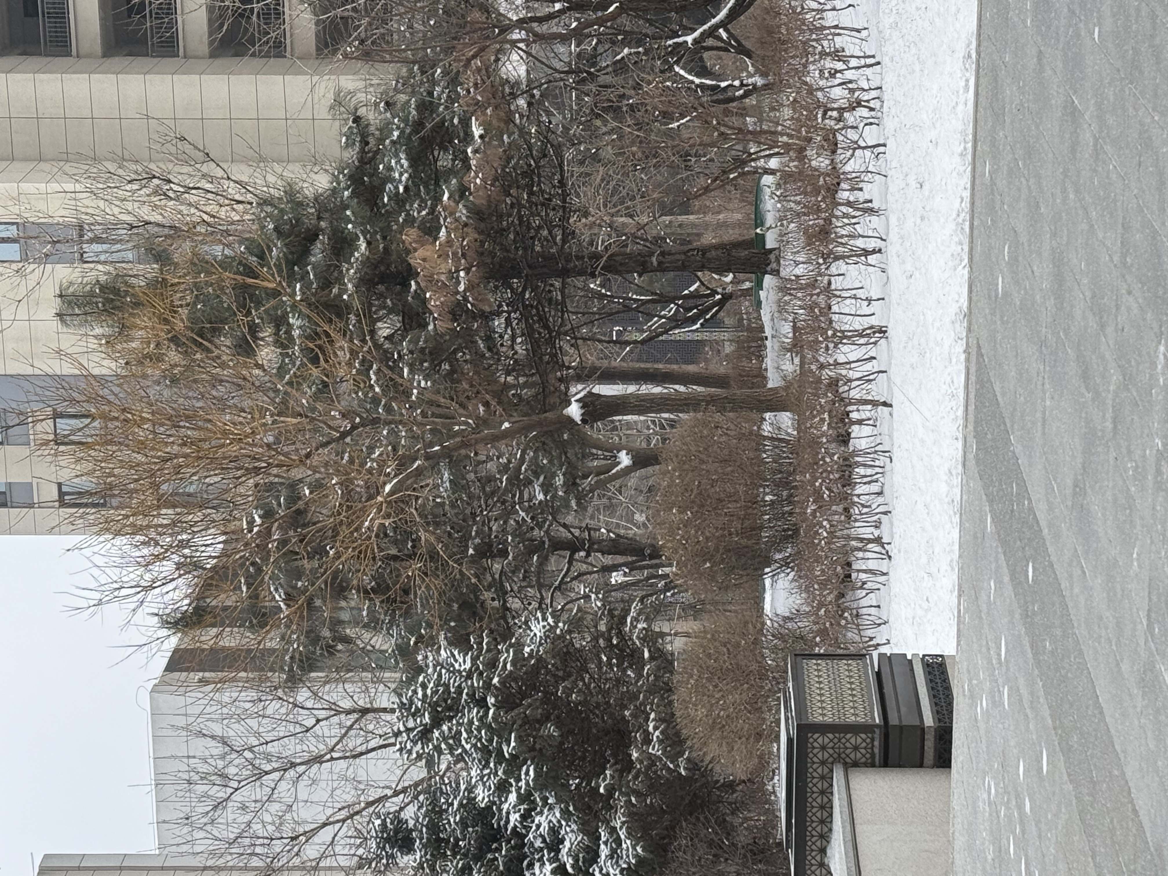 我可以写2500字文章半天内