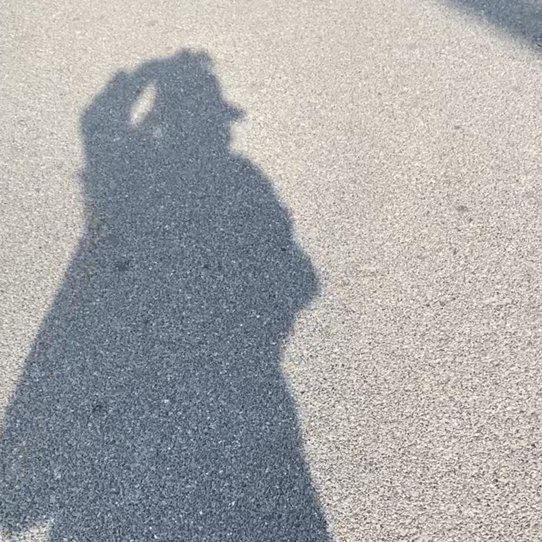 我可以在两天内贴切、有趣、灵魂式地为您提供短篇创意译文