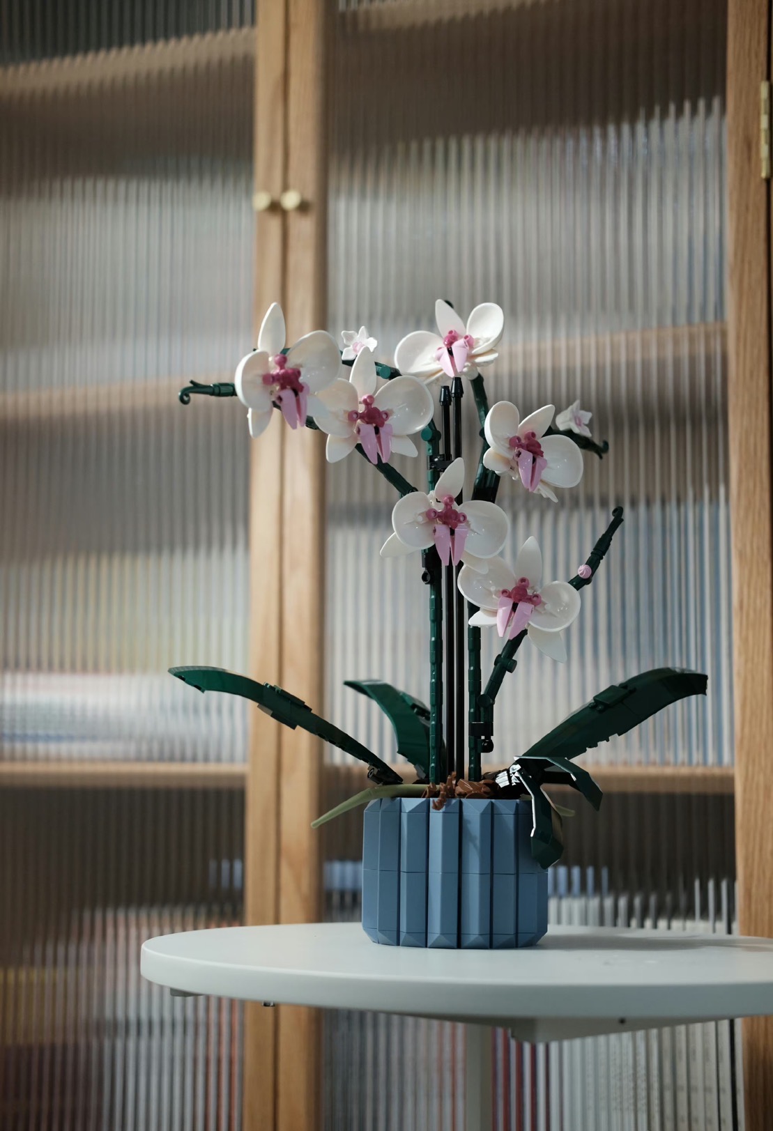 我可以完成100+测试用例，1个测试网站，测试手机app