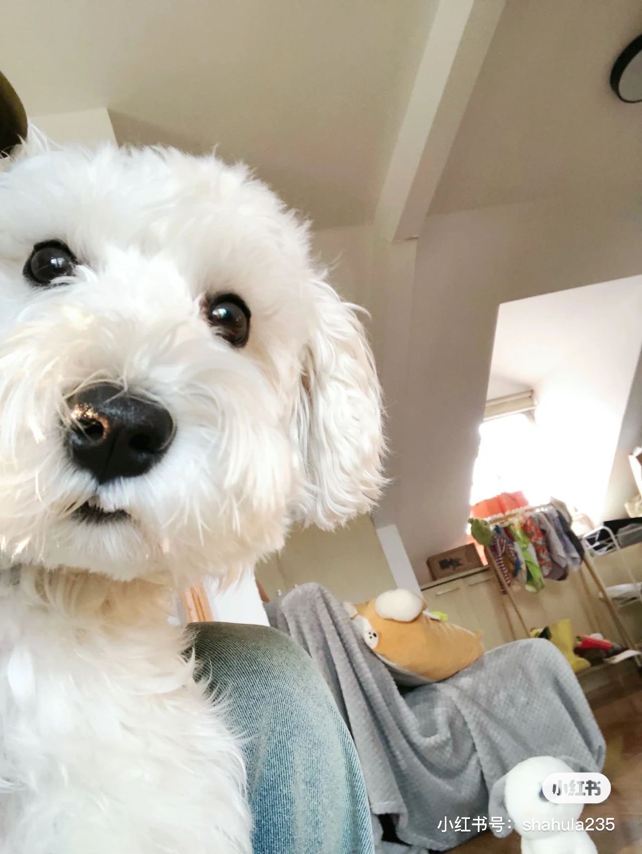 我可以专业制作PPT 专业从事HR领域10年以上