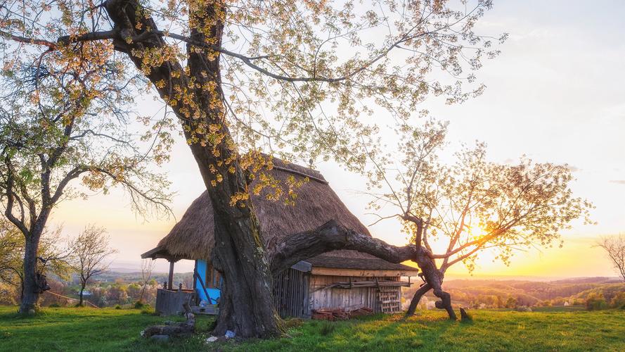 我可以陪聊2小时缓解焦虑孤独情绪