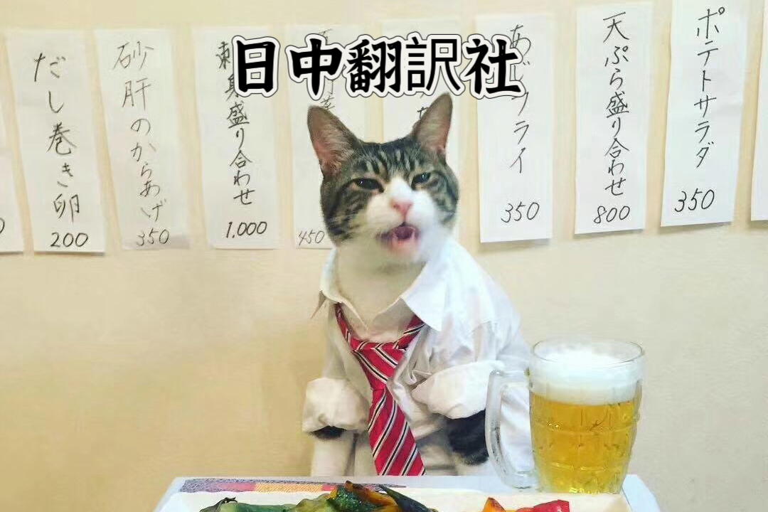 我可以翻译日语文件 和日本人无缝交流 1天完成