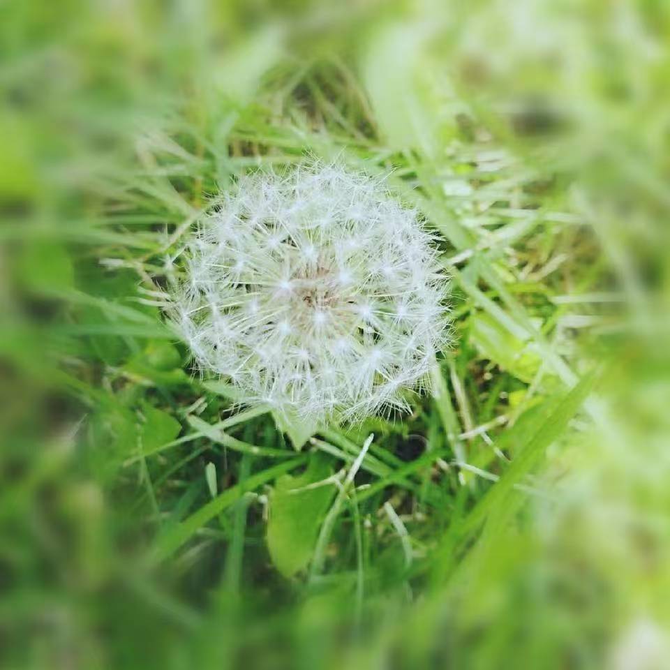 我可以撰写10分钟汇报材料、行业报告、产品评测