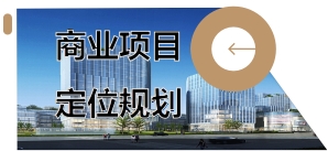 我可以完成一份商业地产项目的市场分析、定位规划、业态规划和财务投资测算PPT的编写