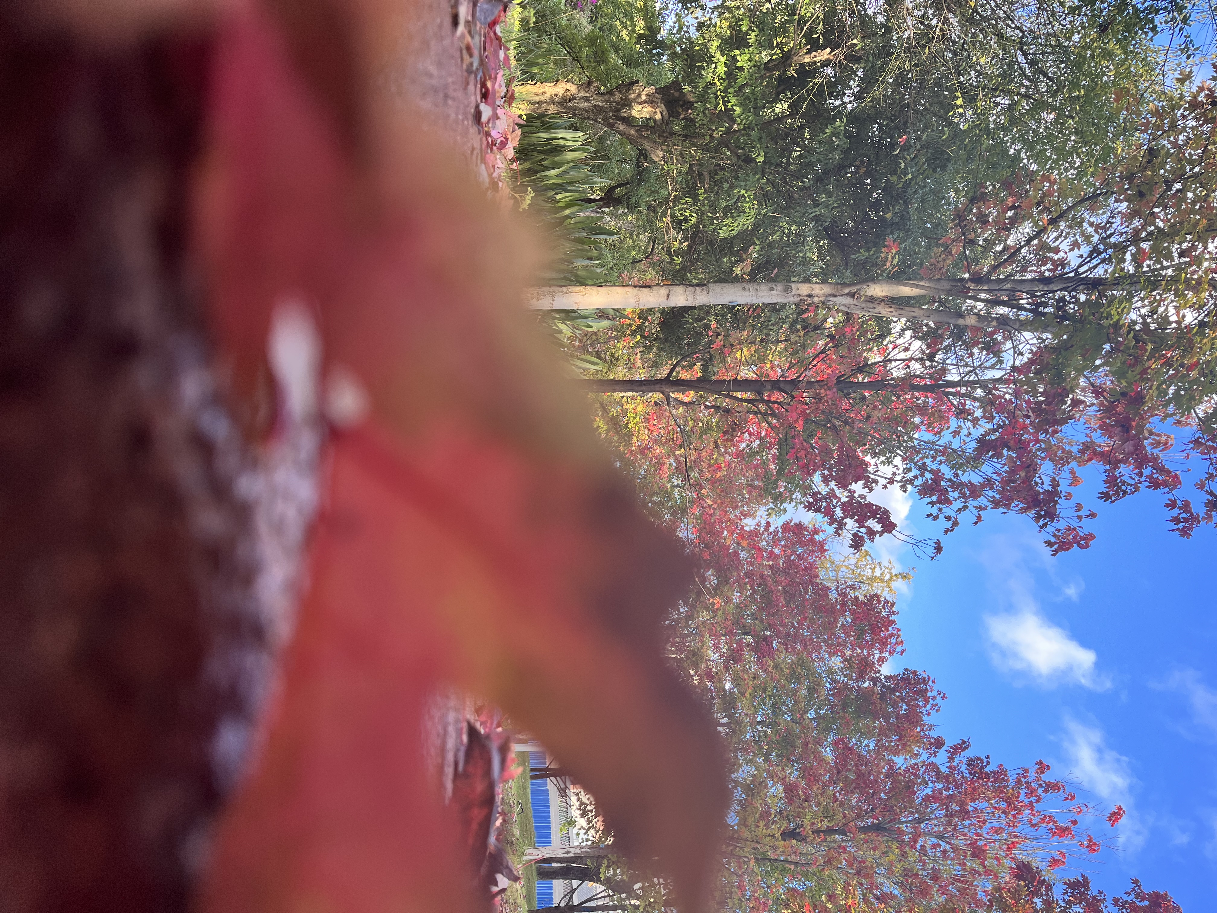 我可以做到陪玩不说话，也可以做到陪玩聊到嗨！只要你喜欢！主打一个听话！初来乍到请多多关照！