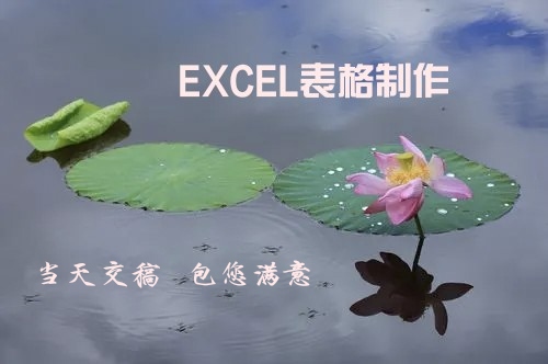 我可以设计制作EXCEL表格，1张或多张