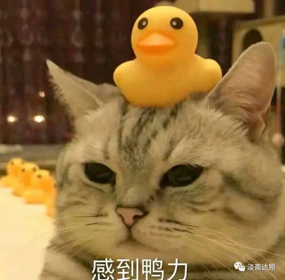 我可以伴奏制作人声去除 10分钟内的歌曲