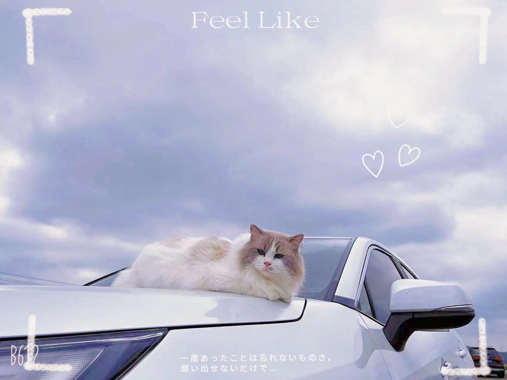 我可以公众号运营 文案策划 ppt制作 1张海报