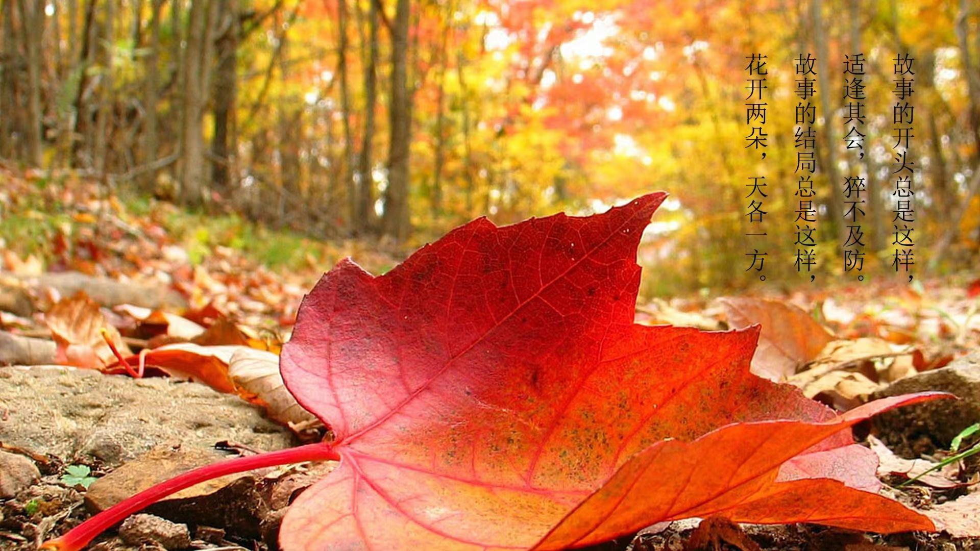 我可以情感咨询，心理辅导一对一