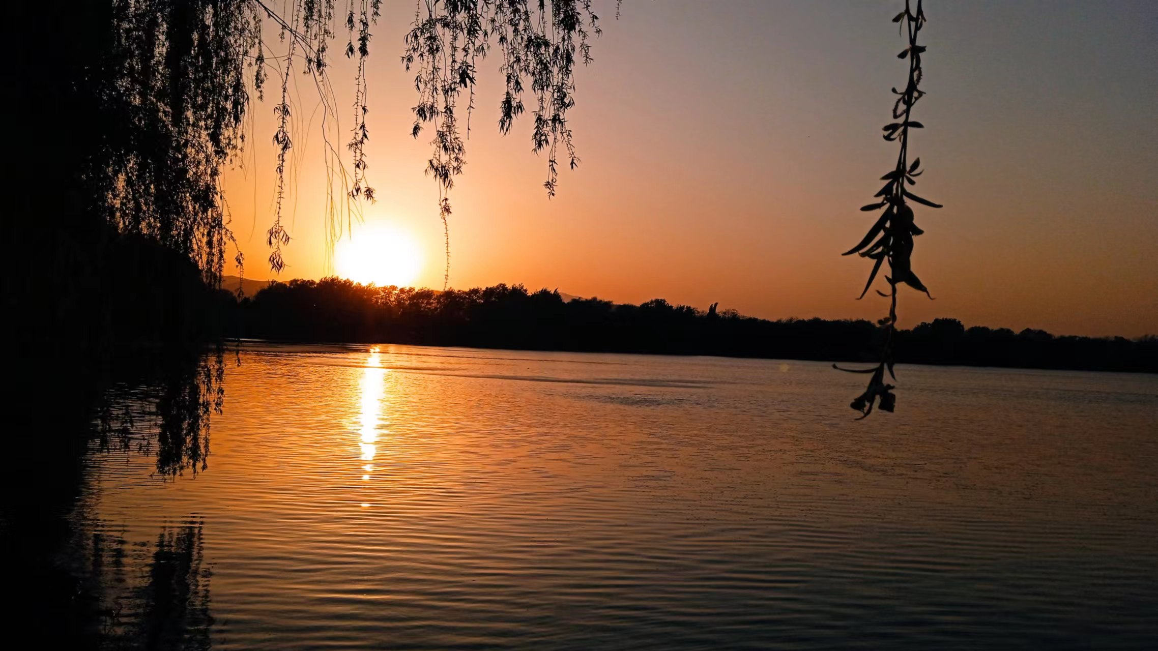 我可以做一个网站、微信公众号、小程序开发。