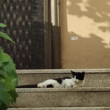 我可以倾听，树洞30分钟